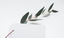 Featured image of post My-First-Blog-Test